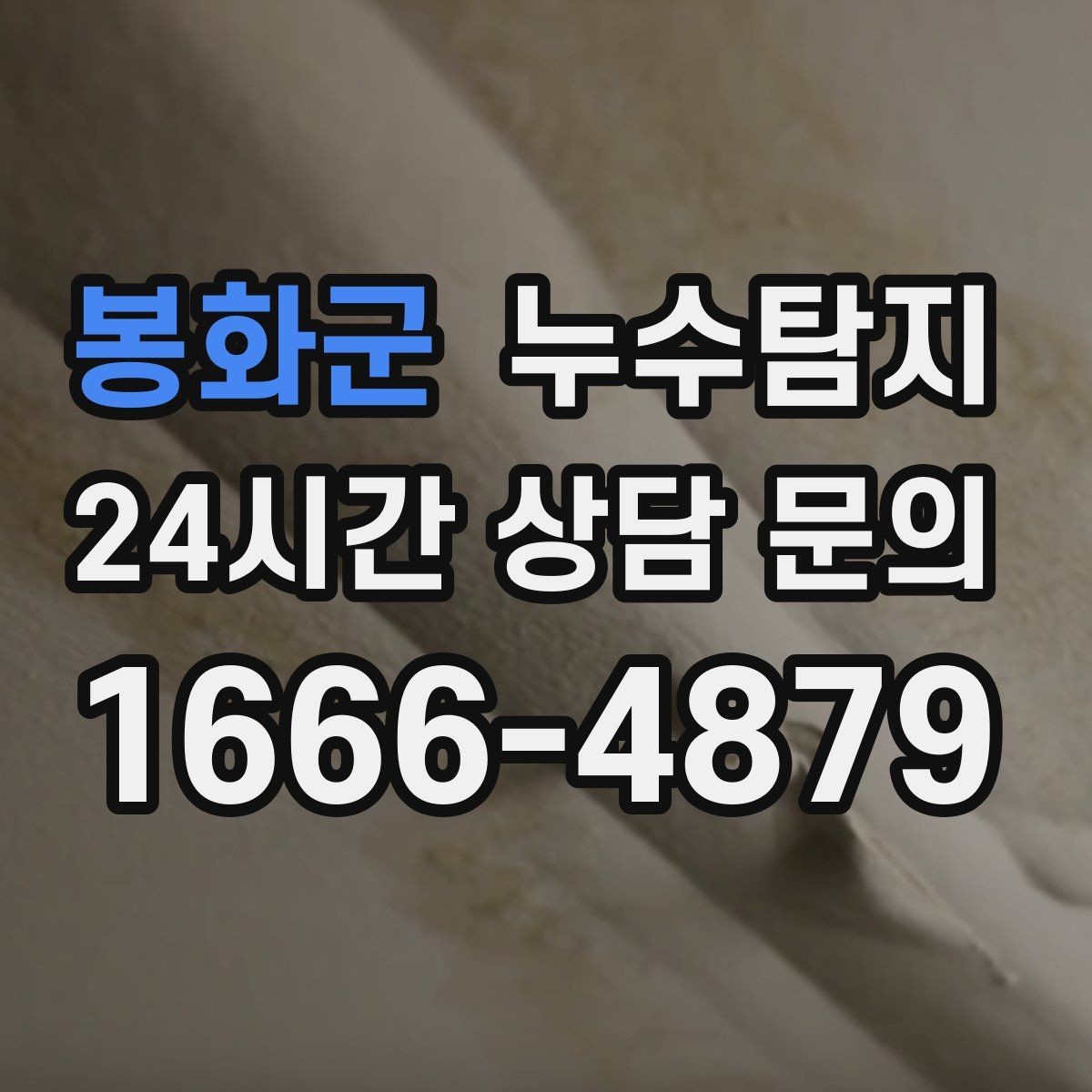 봉화군 누수탐지 이사 전 집 상태 안심 점검