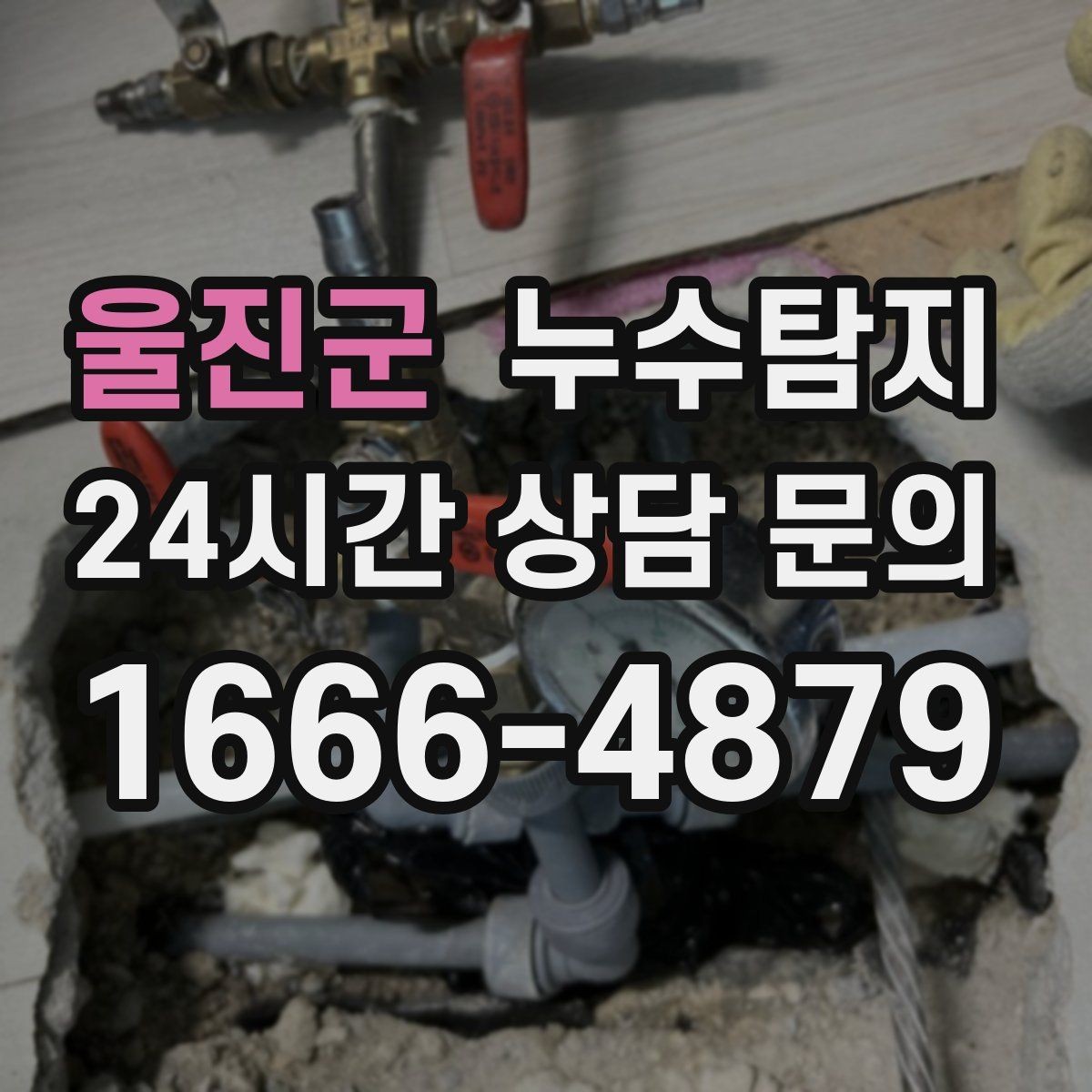 울진군 누수탐지 벽지 들뜸 빠른 진단 노하우