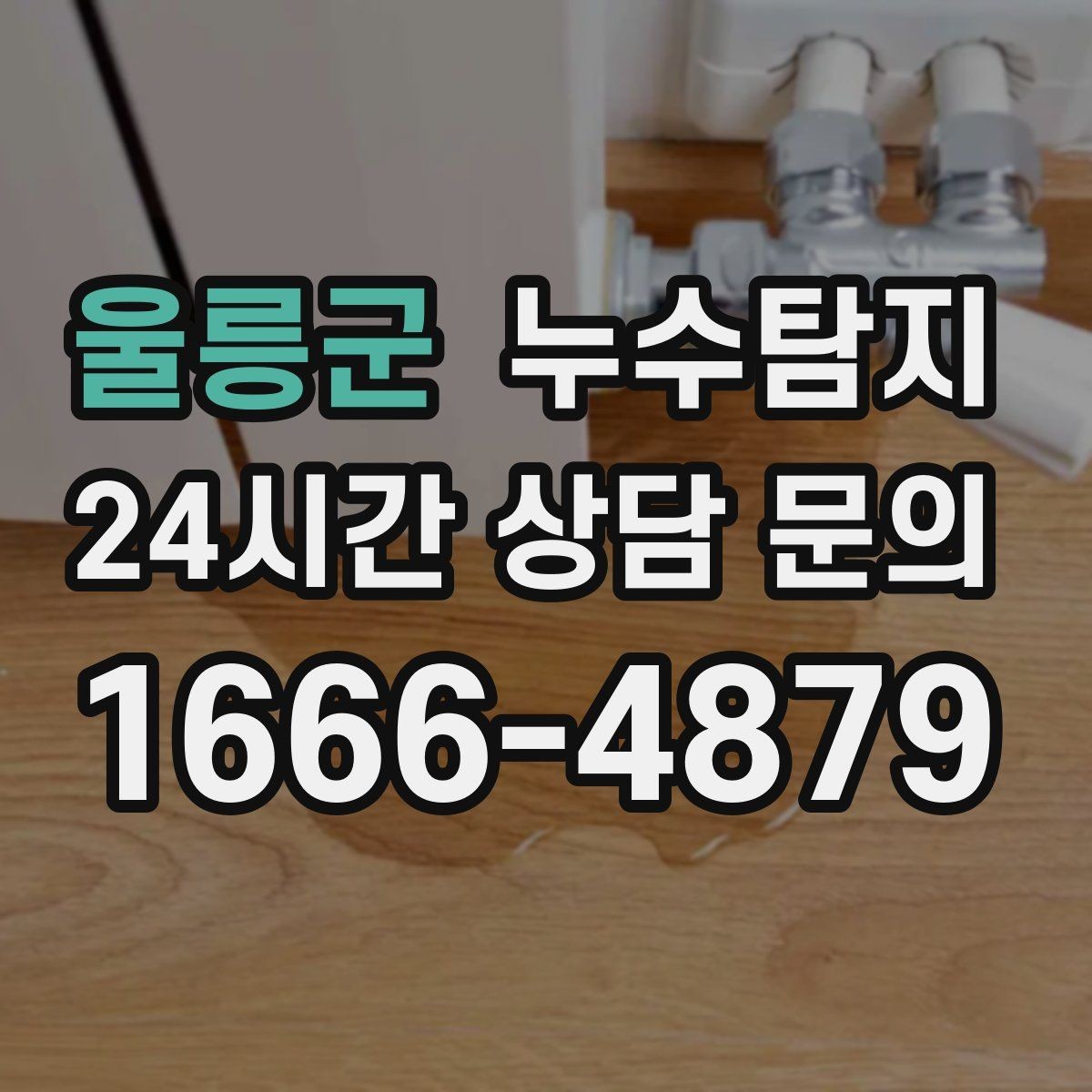 울릉군 누수탐지 새집인데 왜 젖을까 원인 찾기