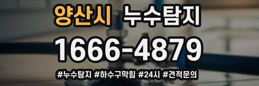 누수닥터 누수탐지