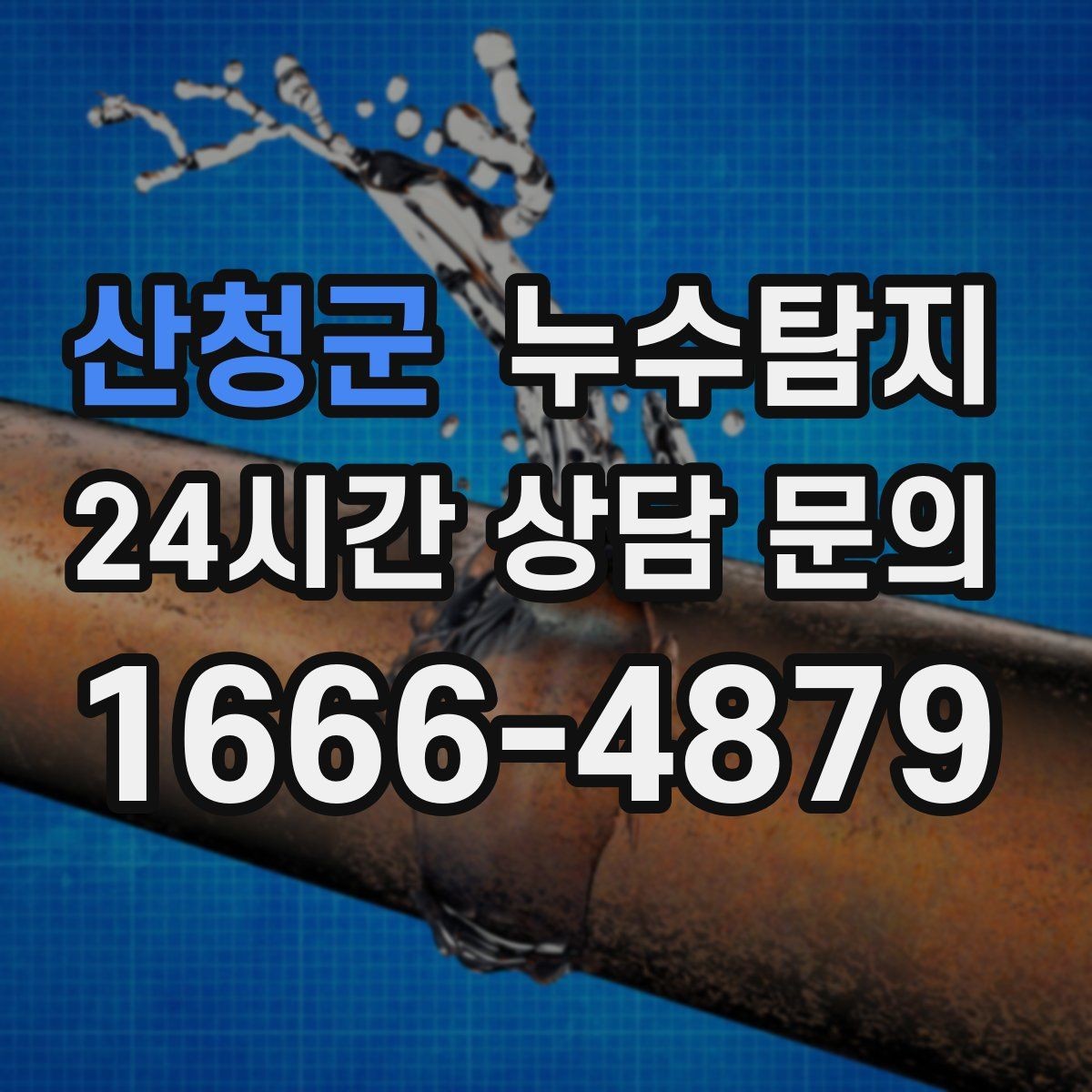 산청군 누수탐지 아이 방 곰팡이 원인 끝까지 추적