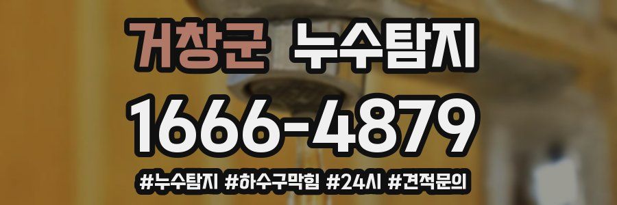 누수닥터 누수탐지