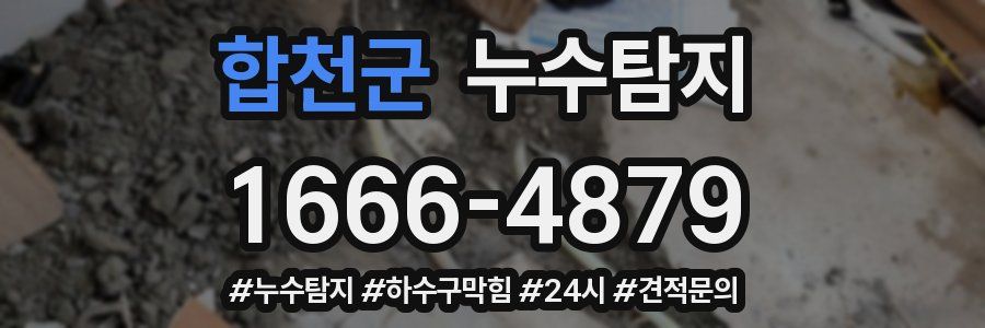 누수닥터 누수탐지