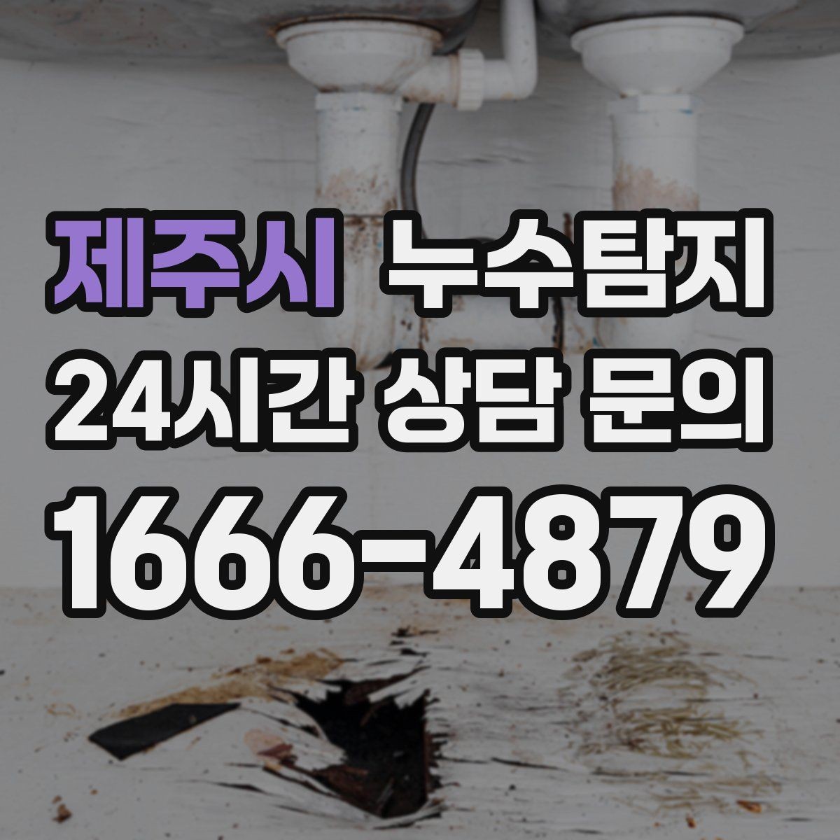 제주시 누수탐지 사진과 영상 데이터로 믿는 진단