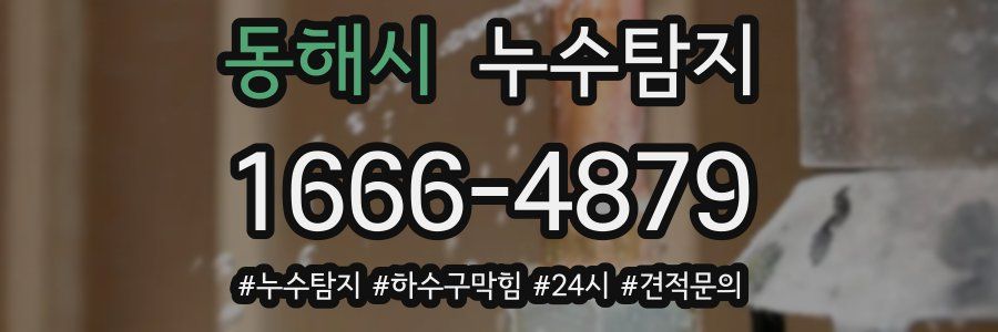 누수닥터 누수탐지