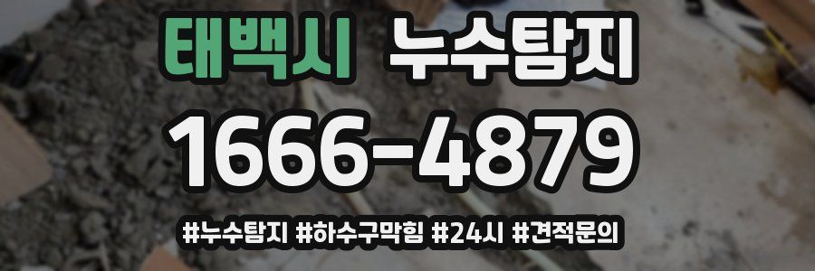 누수닥터 누수탐지