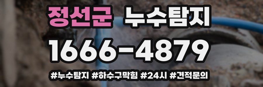 누수닥터 누수탐지
