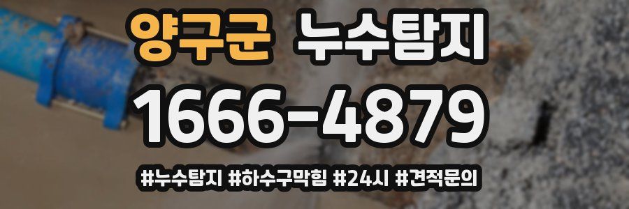 누수닥터 누수탐지