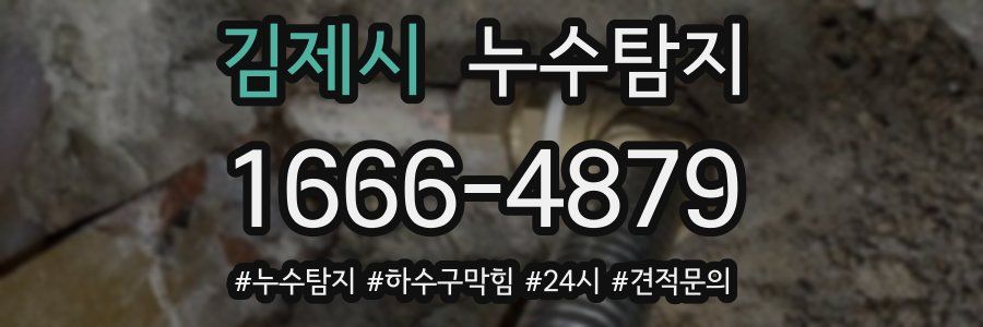 누수닥터 누수탐지