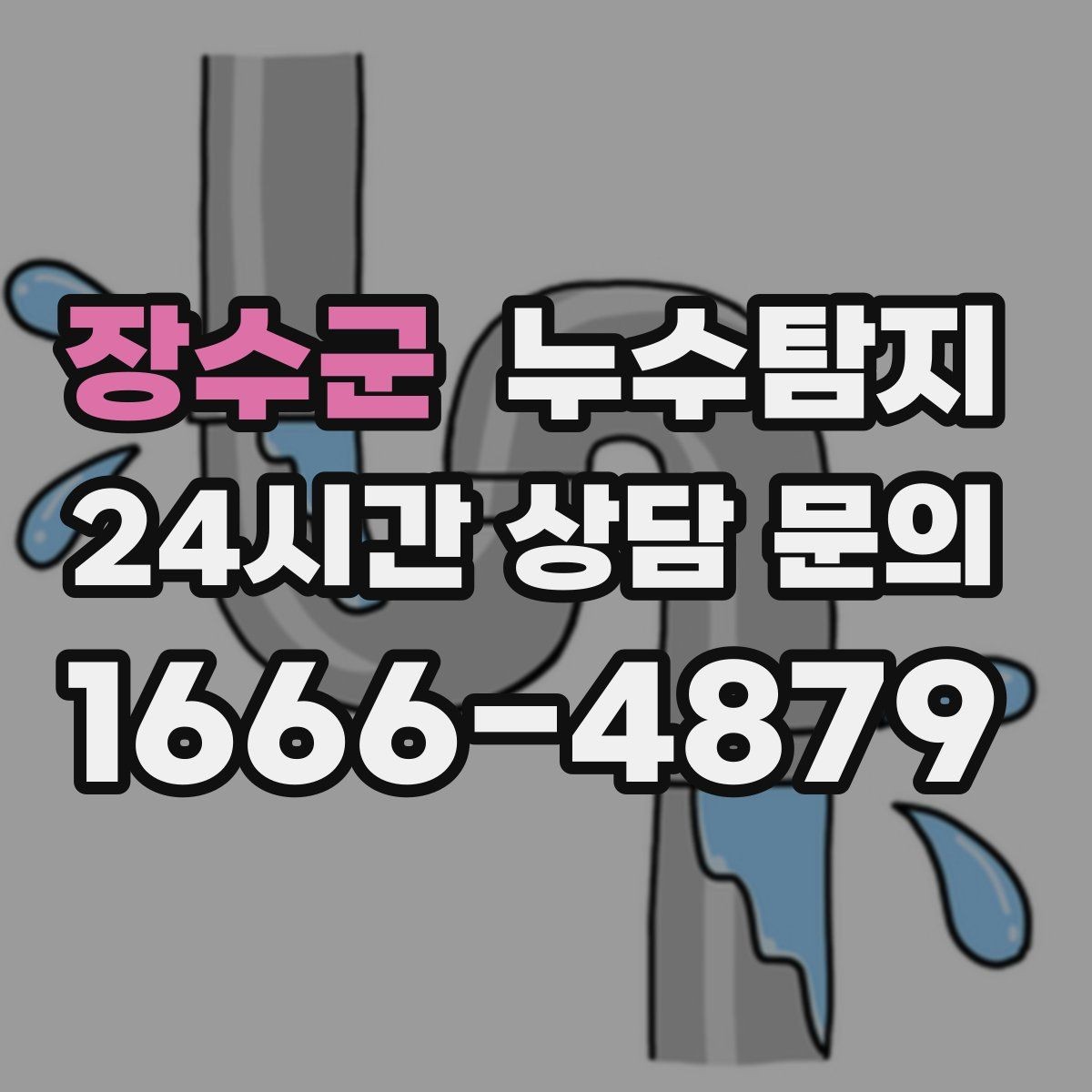 장수군 누수탐지 타일 틈새 점검으로 찾은 누수