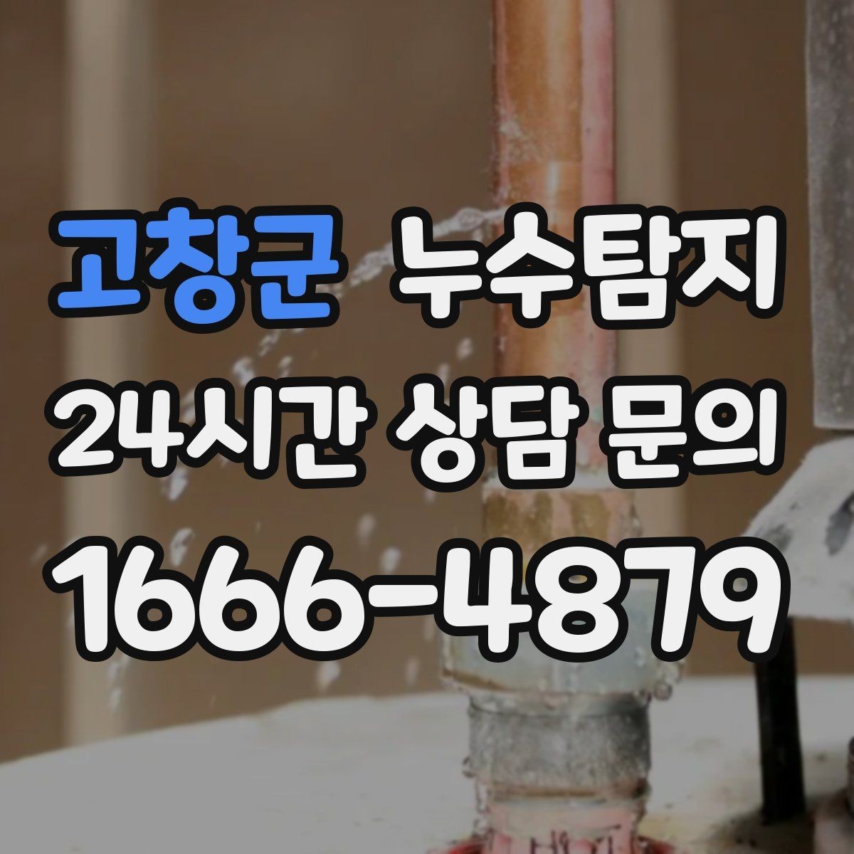 고창군 누수탐지 벽체 내부 소리로 찾은 단서