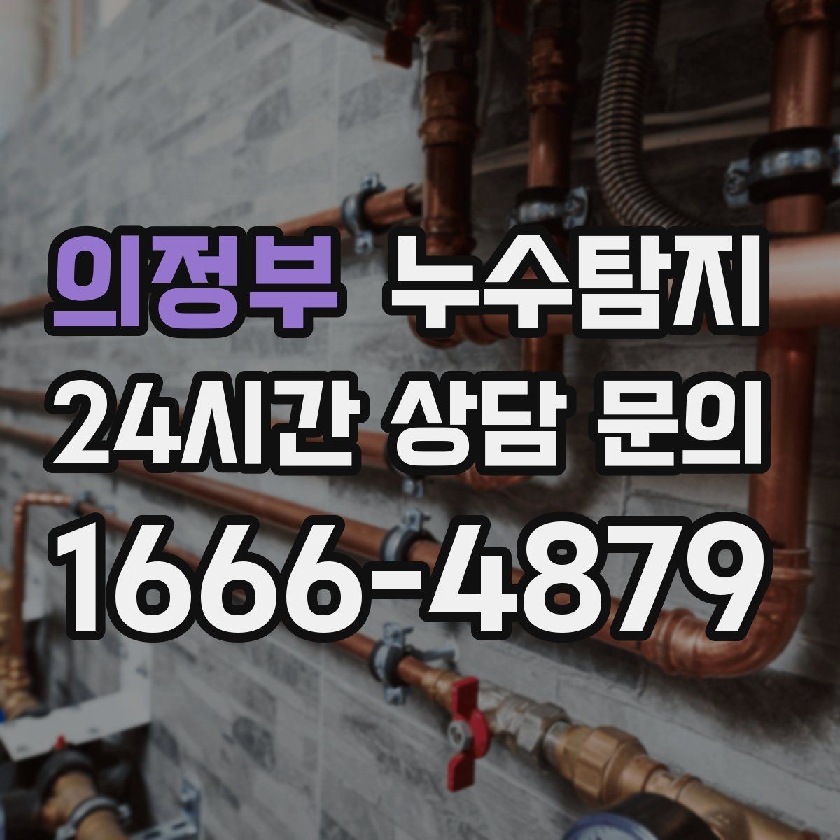 의정부 누수탐지 페인트 변색이 알려준 신호