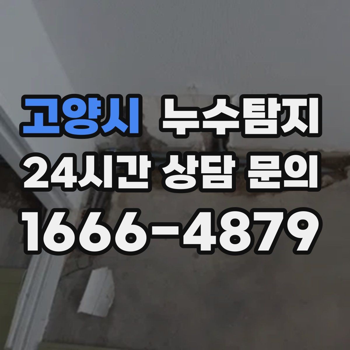 고양시 누수탐지 가구 뒤 곰팡이 원인 파헤치기