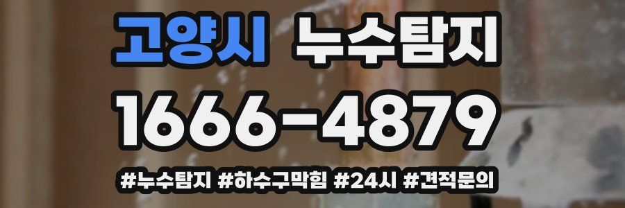 누수닥터 누수탐지