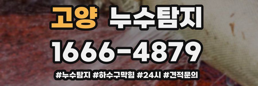 누수닥터 누수탐지