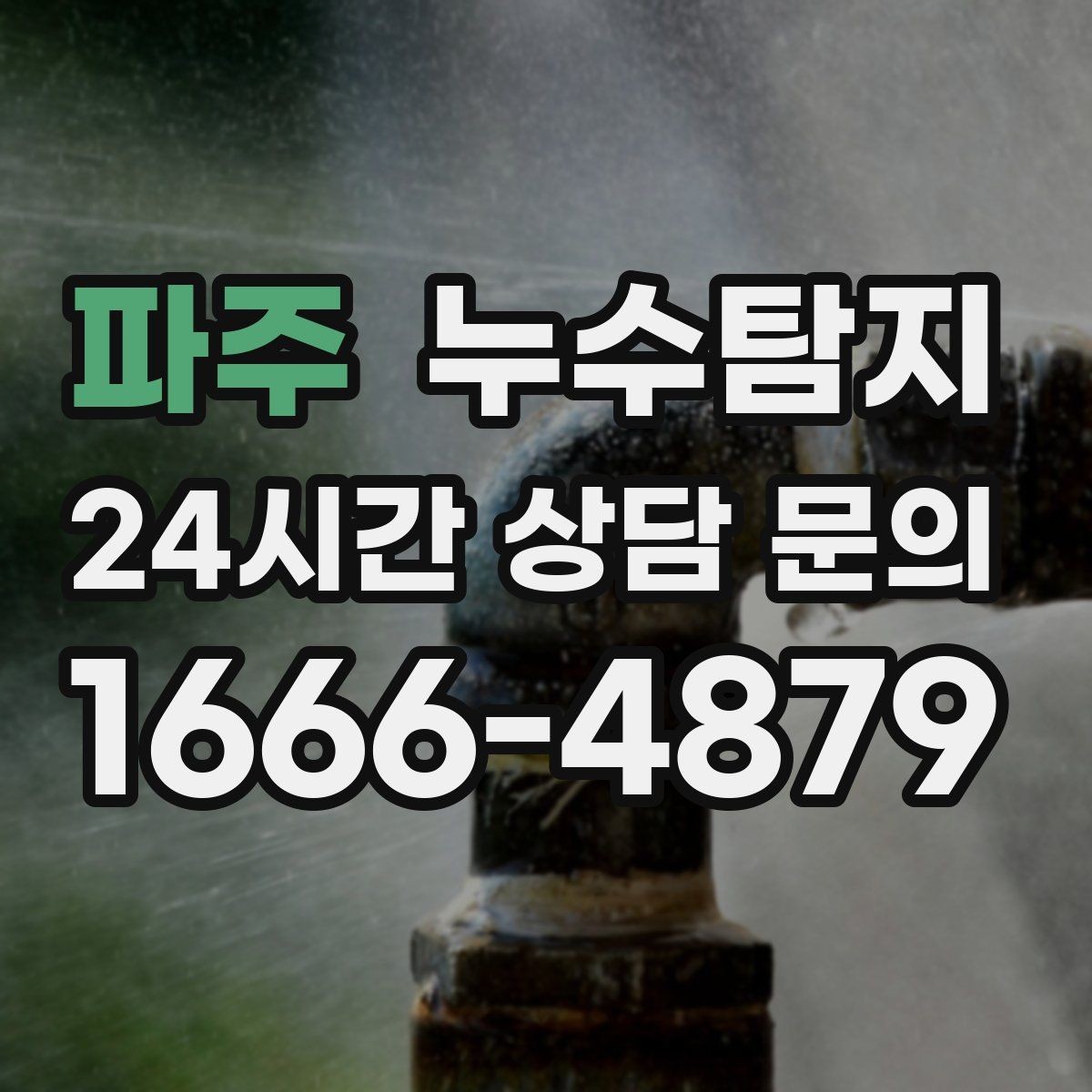 파주 누수탐지 전문가와 함께한 현장 진단 이야기