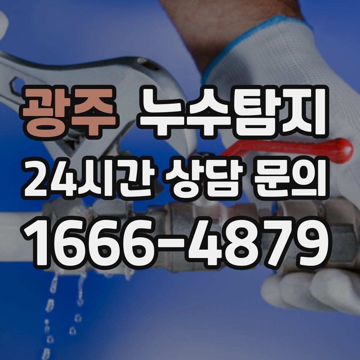 광주 누수탐지 욕실 곰팡이 사라진 변화 이야기