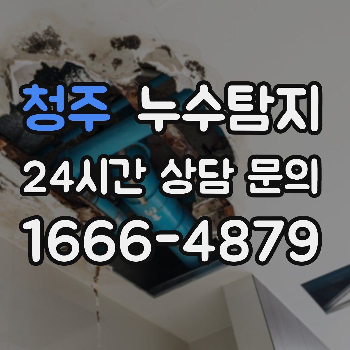 청주 누수탐지 합리적인 비용으로 문제를 해결하세요