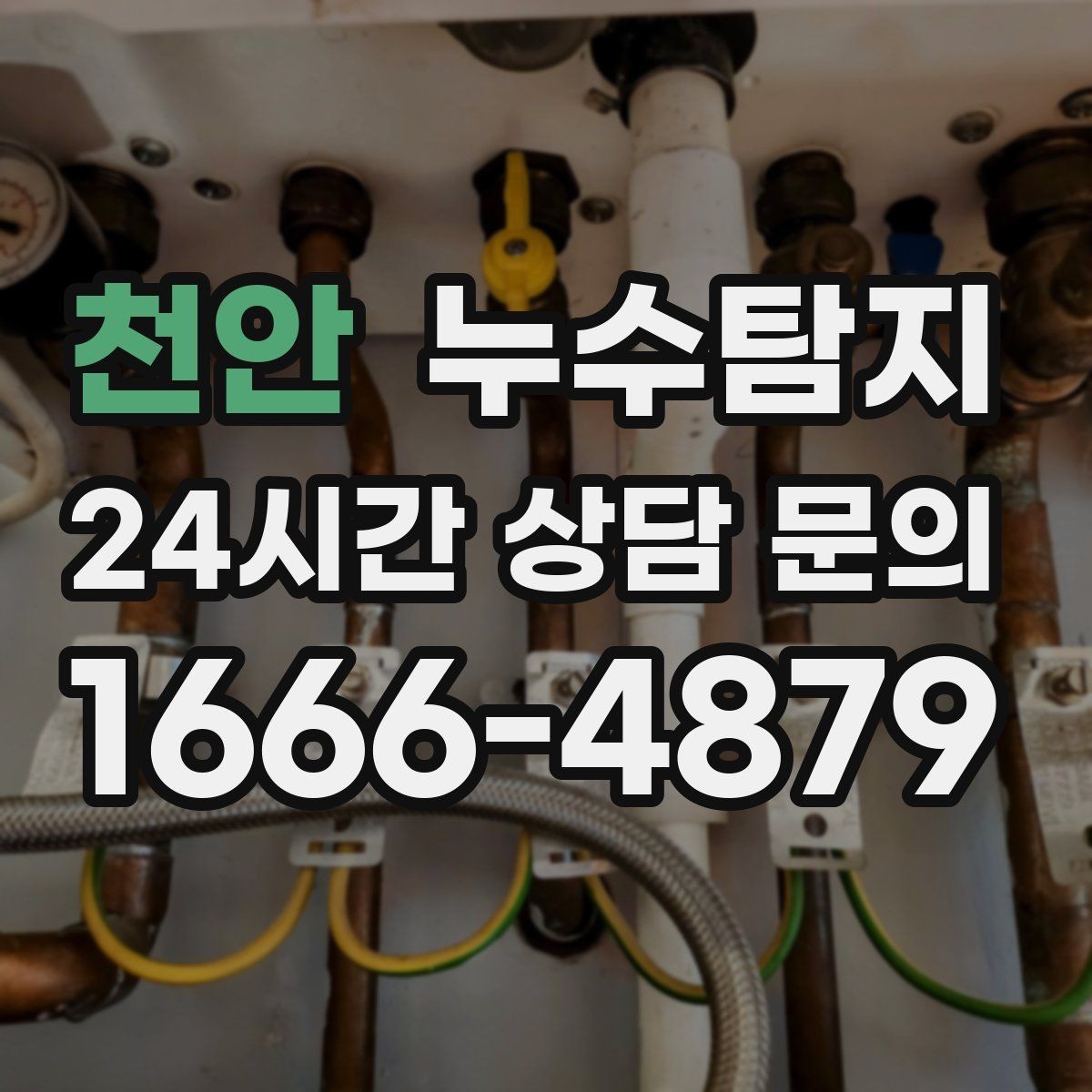 천안 누수탐지 장마 전 옥상 점검 실전 팁