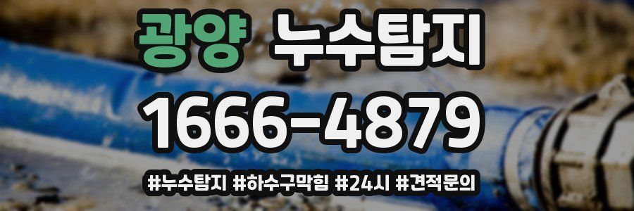 누수닥터 누수탐지