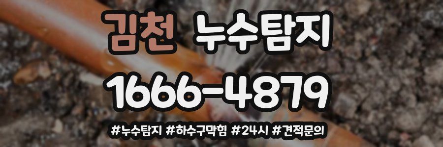 누수닥터 누수탐지