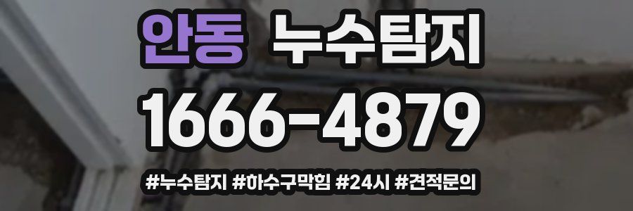 누수닥터 누수탐지