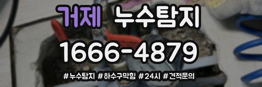 누수닥터 누수탐지