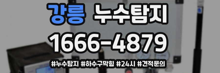 누수닥터 누수탐지