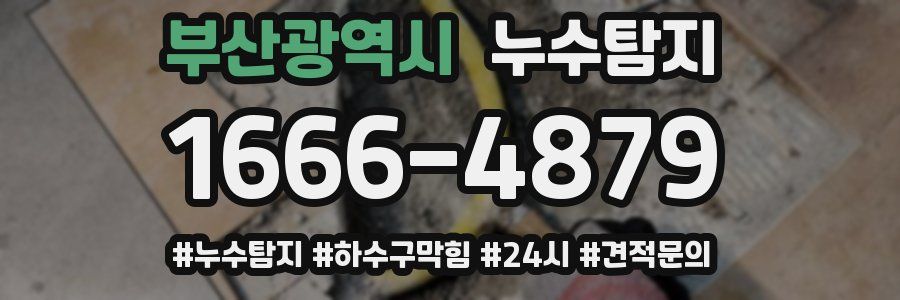 누수닥터 누수탐지
