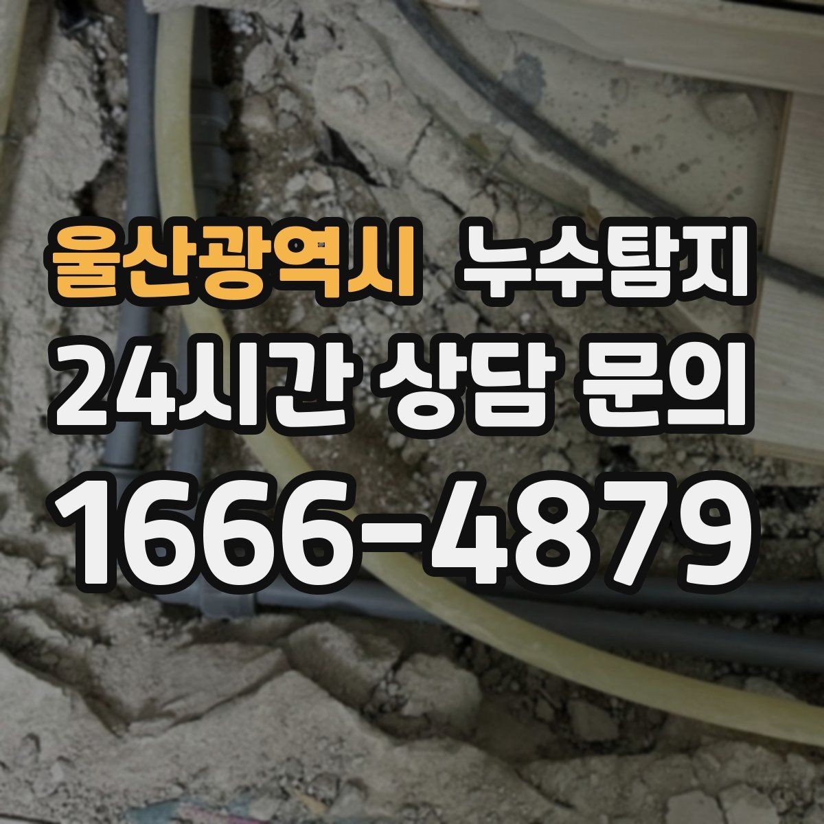 울산광역시 누수탐지 열화상 청음 정밀 점검
