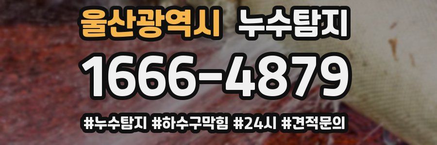 누수닥터 누수탐지