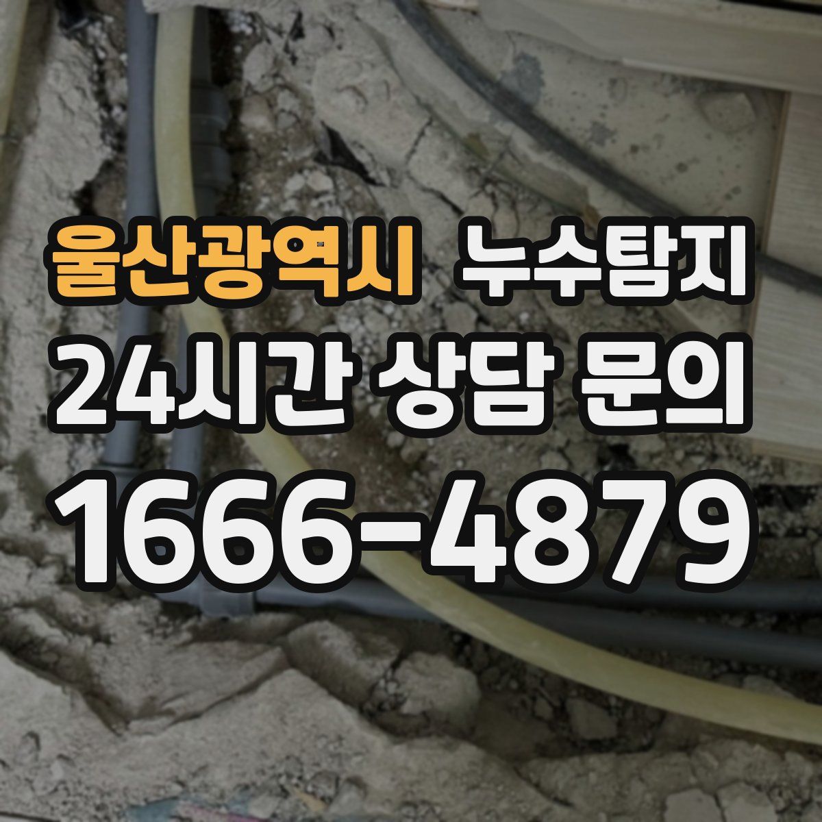 누수탐지