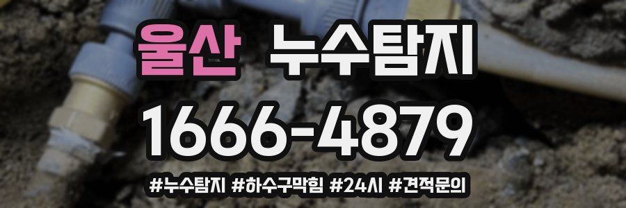 누수닥터 누수탐지