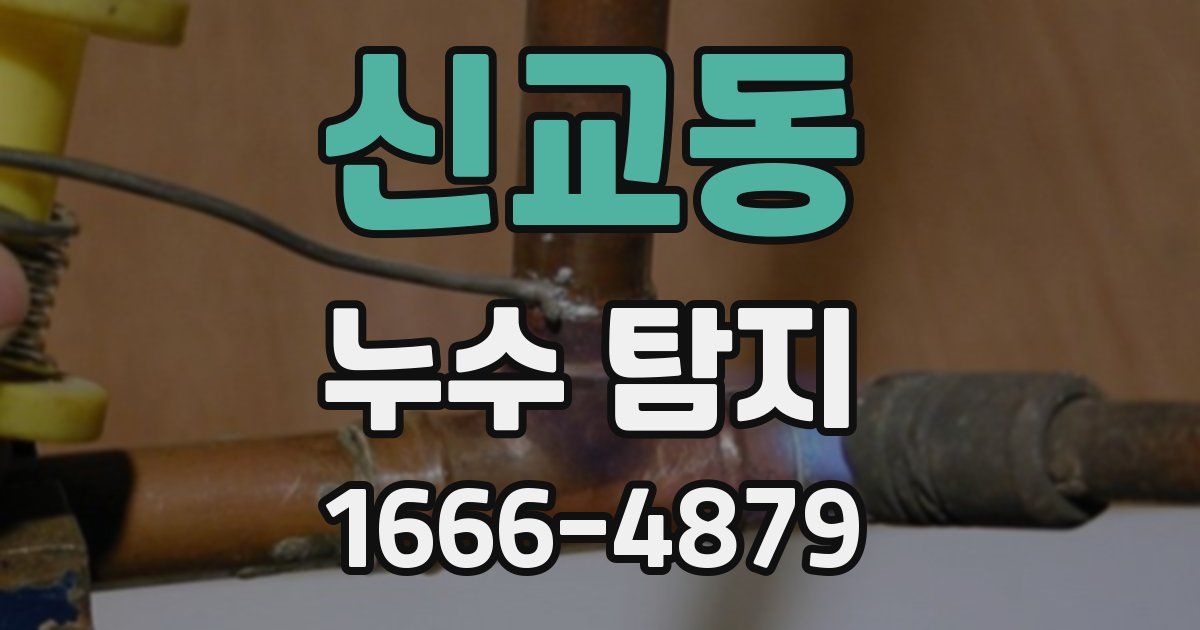 신교동 누수 탐지