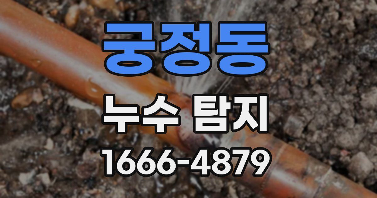 궁정동 누수 탐지