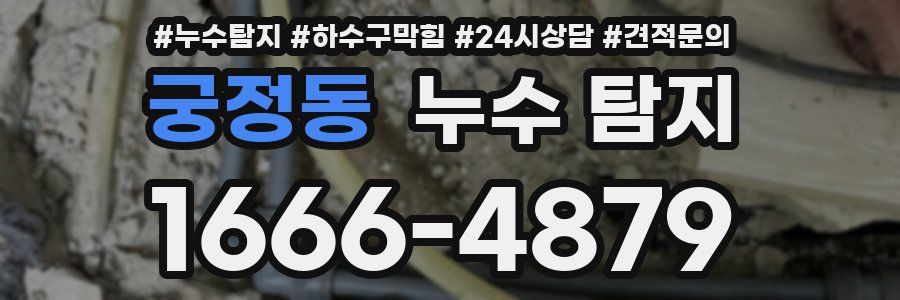 궁정동 누수 탐지