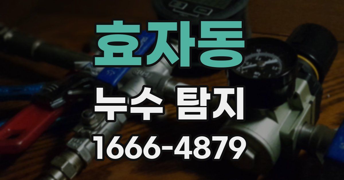 효자동 누수 탐지