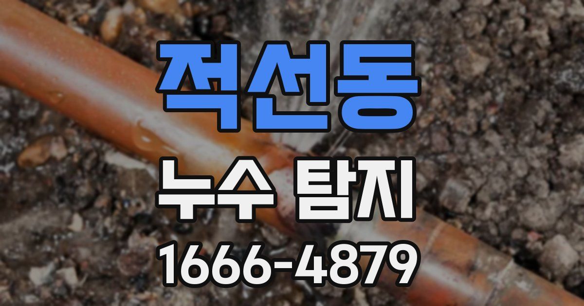 적선동 누수 탐지