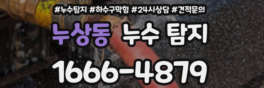 누상동 누수 탐지