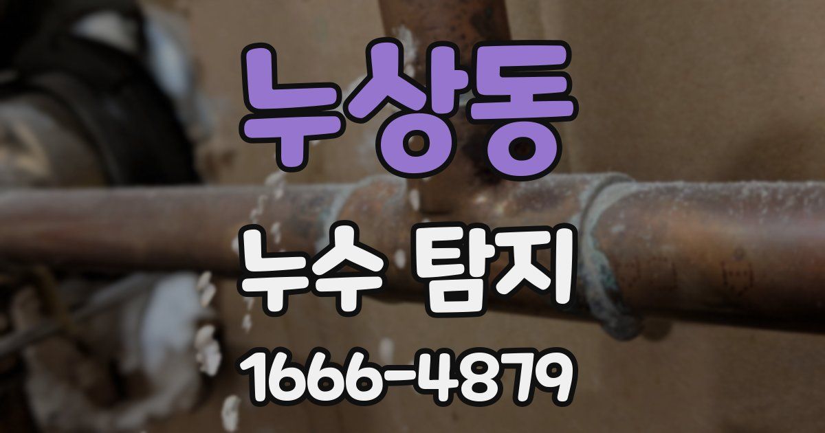 누상동 누수 탐지