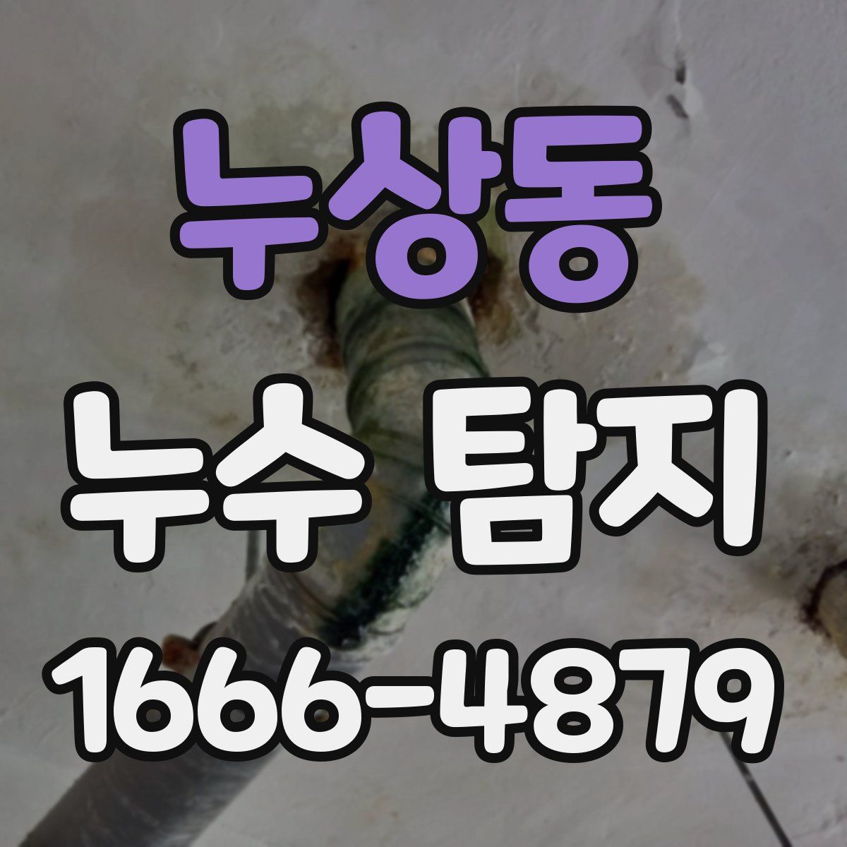누상동 누수 탐지