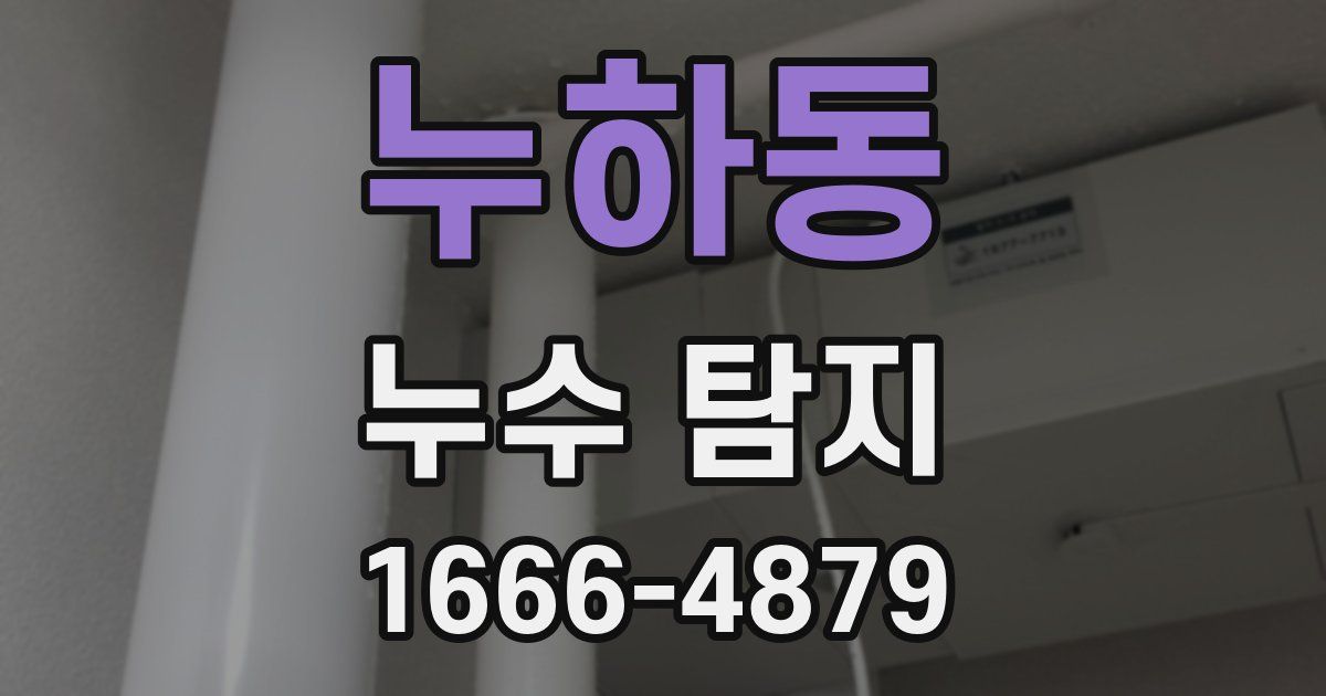 누하동 누수 탐지