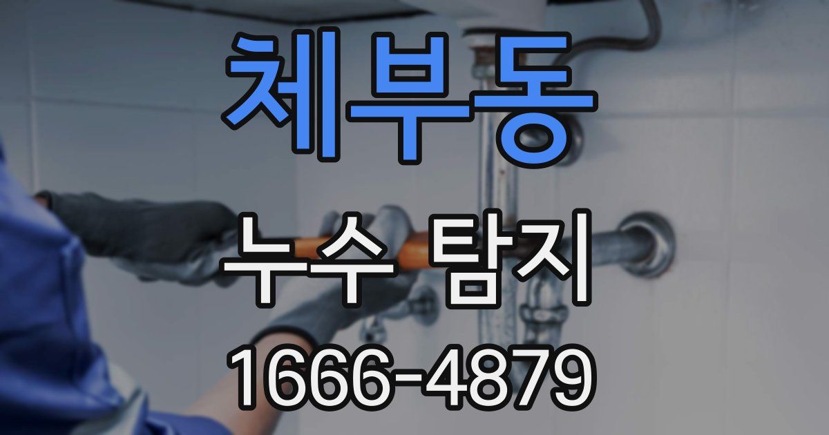 체부동 누수 탐지