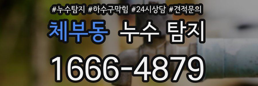 체부동 누수 탐지