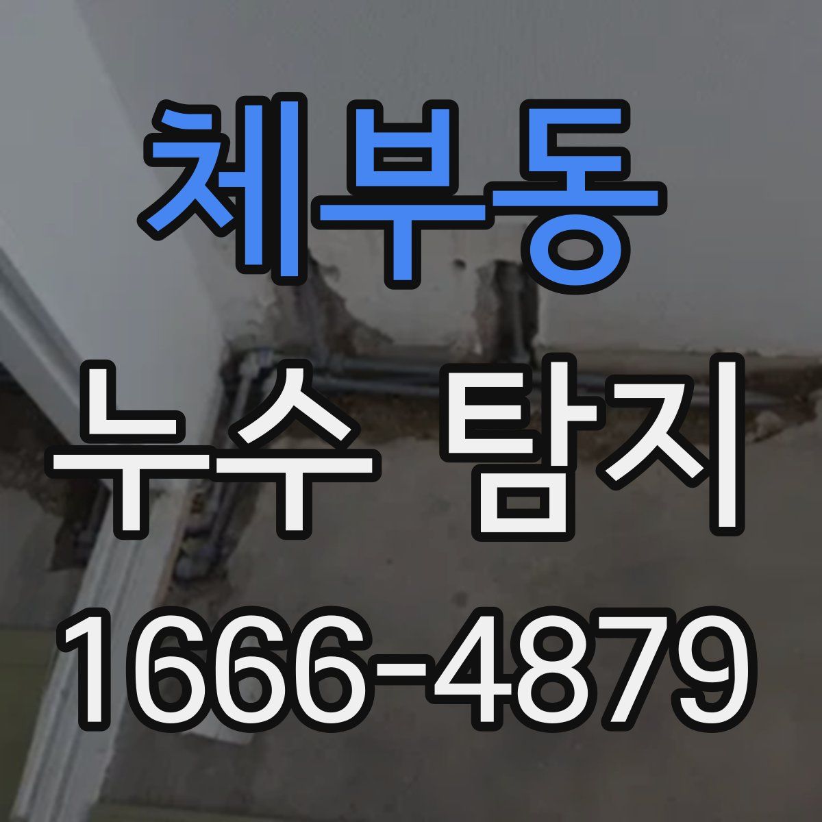 체부동 누수 탐지