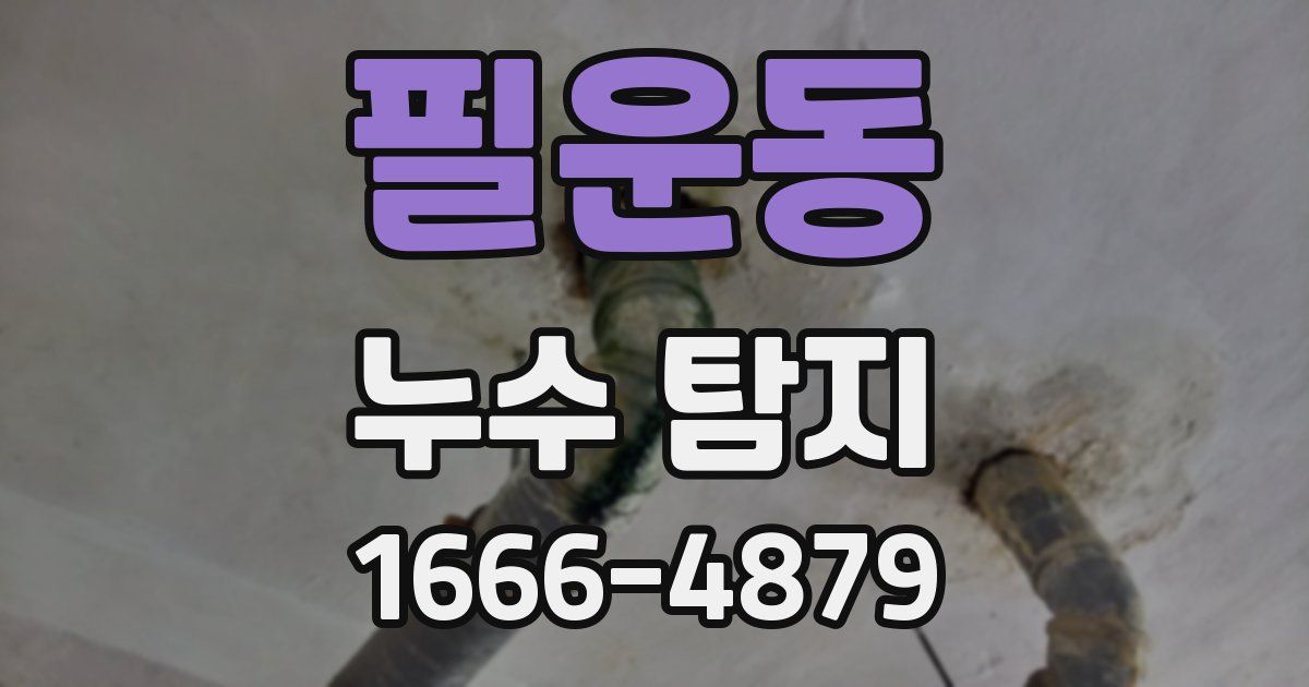 필운동 누수 탐지