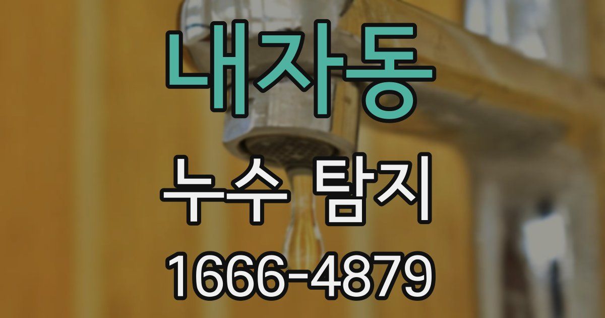 내자동 누수 탐지