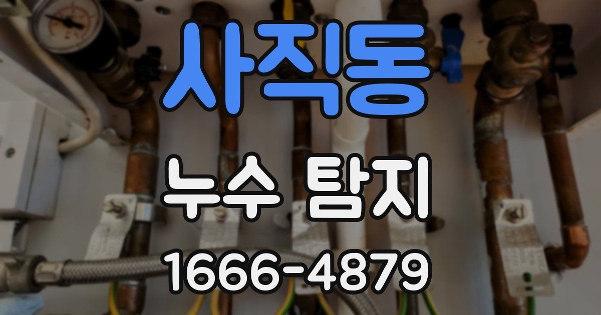 사직동 누수 탐지