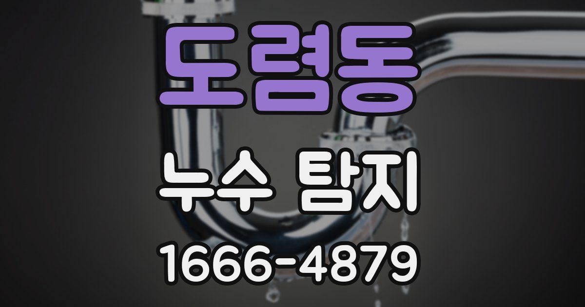 도렴동 누수 탐지