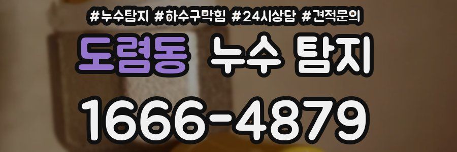 도렴동 누수 탐지